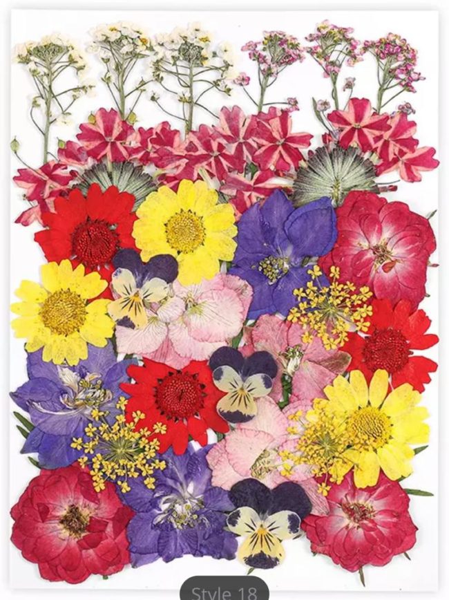 Flor Natural Desidratada Multi Cores - DMaltaStore