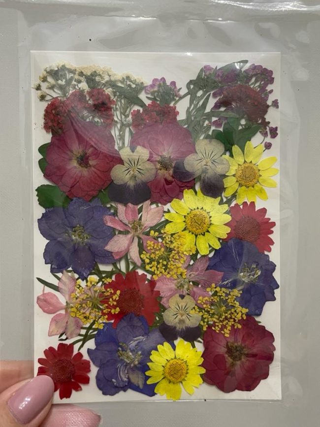 Flor Natural Desidratada Multi Cores - DMaltaStore - Imagem 3