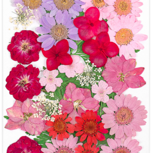 Flor Natural Desidratada Rosa Vermelho 30pç - DMaltaStore