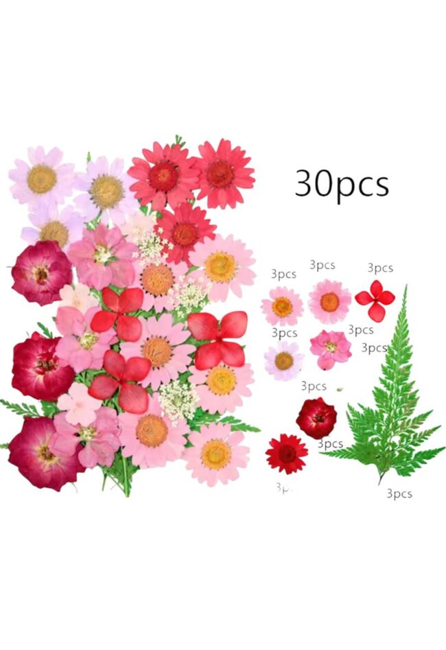 Flor Natural Desidratada Rosa Vermelho 30pç - DMaltaStore - Imagem 3