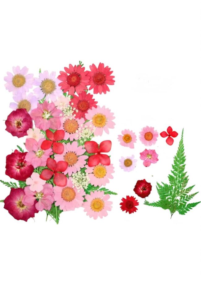 Flor Natural Desidratada Rosa Vermelho 30pç - DMaltaStore - Imagem 4