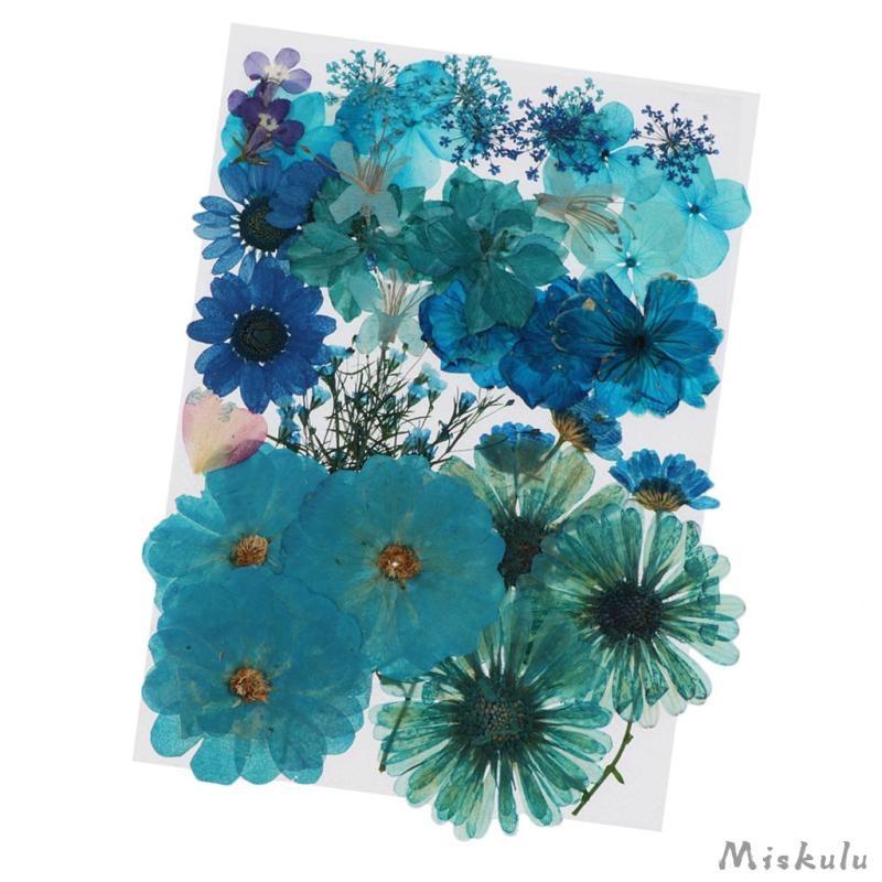 Flor Natural Desidratada Azul Escuro – DMaltaStore – D.Malta Store