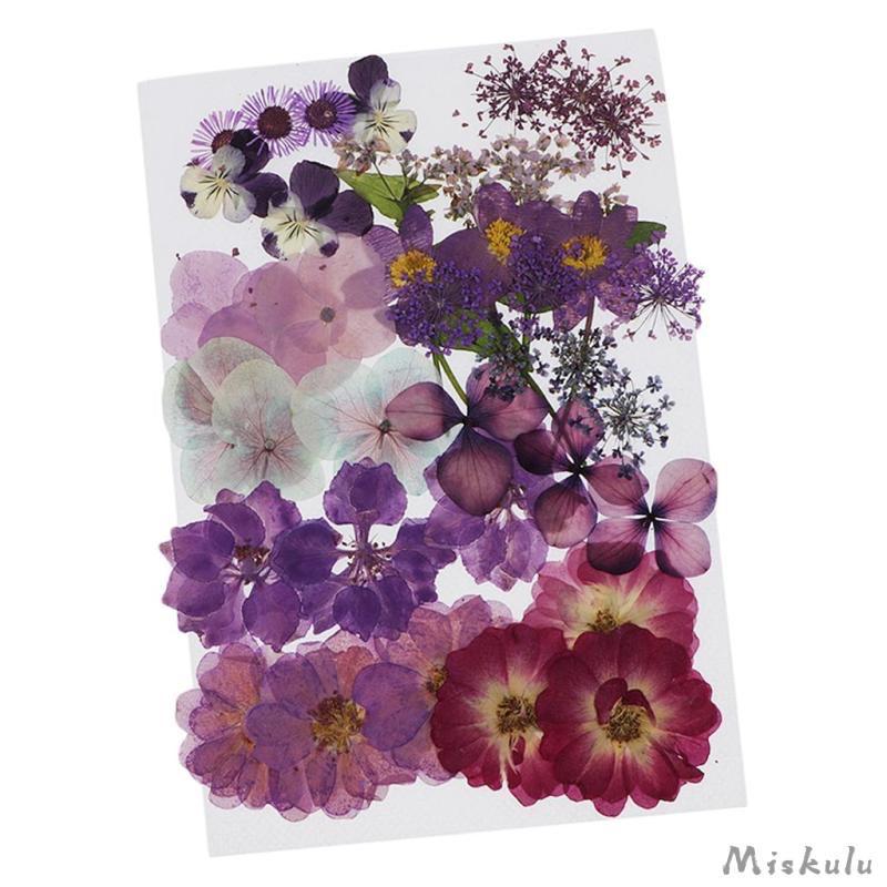 Flor Natural Desidratada Violeta - DMaltaStore