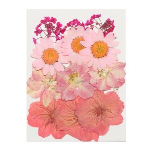 Mini Kit Flor Natural Desidratada Tons Rosa - DMaltaStore