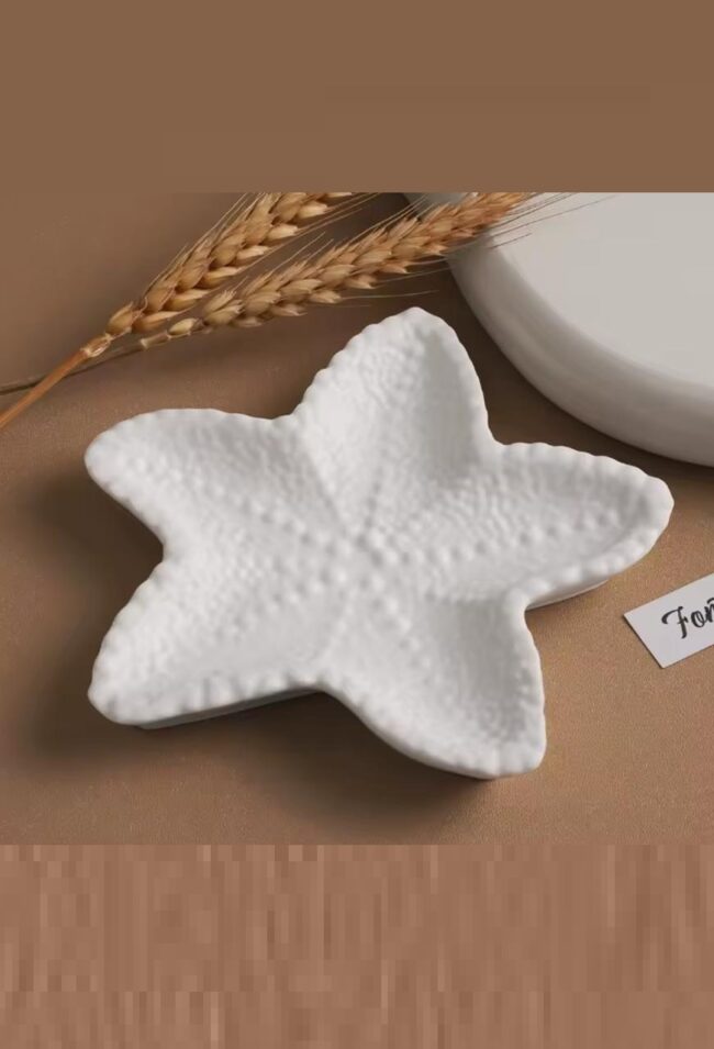 Molde De Silicone Bandeja Estrela do Mar 12x13cm- DmaltaStore - Imagem 3