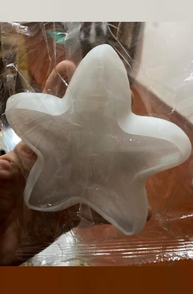 Molde De Silicone Bandeja Estrela do Mar 12x13cm- DmaltaStore - Imagem 4