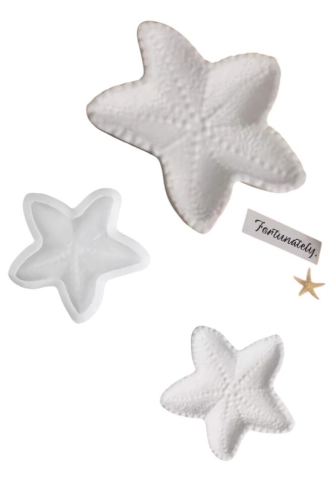 Molde De Silicone Bandeja Estrela do Mar 12x13cm- DmaltaStore