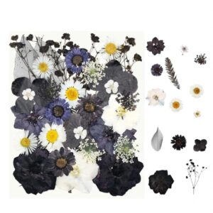 Flor Natural Desidratada Preto - DMaltaStore